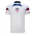 United States Jesus Ferreira #9 Replica Home Stadium Shirt World Cup 2022 Short Sleeve